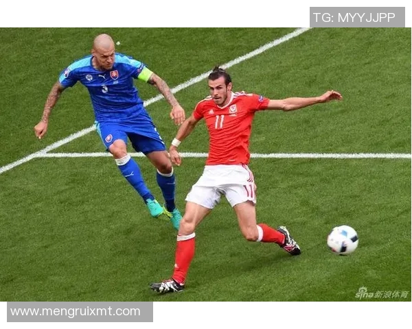 威尔士与斯洛伐克精彩对决视频回顾与分析