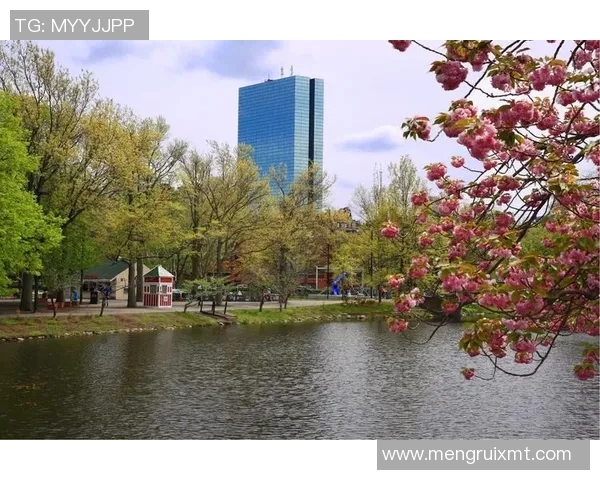 波士顿河与波特诺的魅力对比探讨与文化交融分析